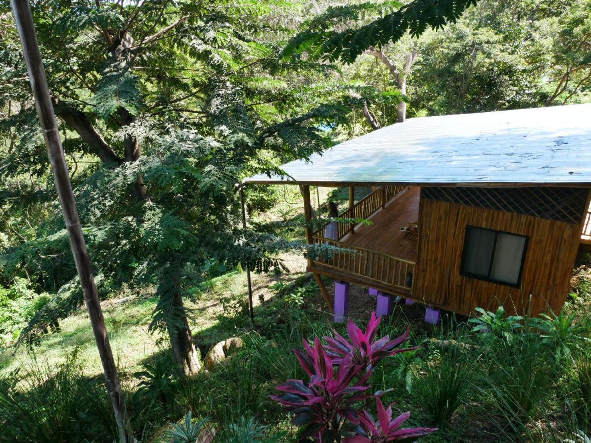 Finca Colibri Ecolodges En Pleine Nature Ferry Playa Najanjo Costa Rica Cabo Blanco Exterior photo