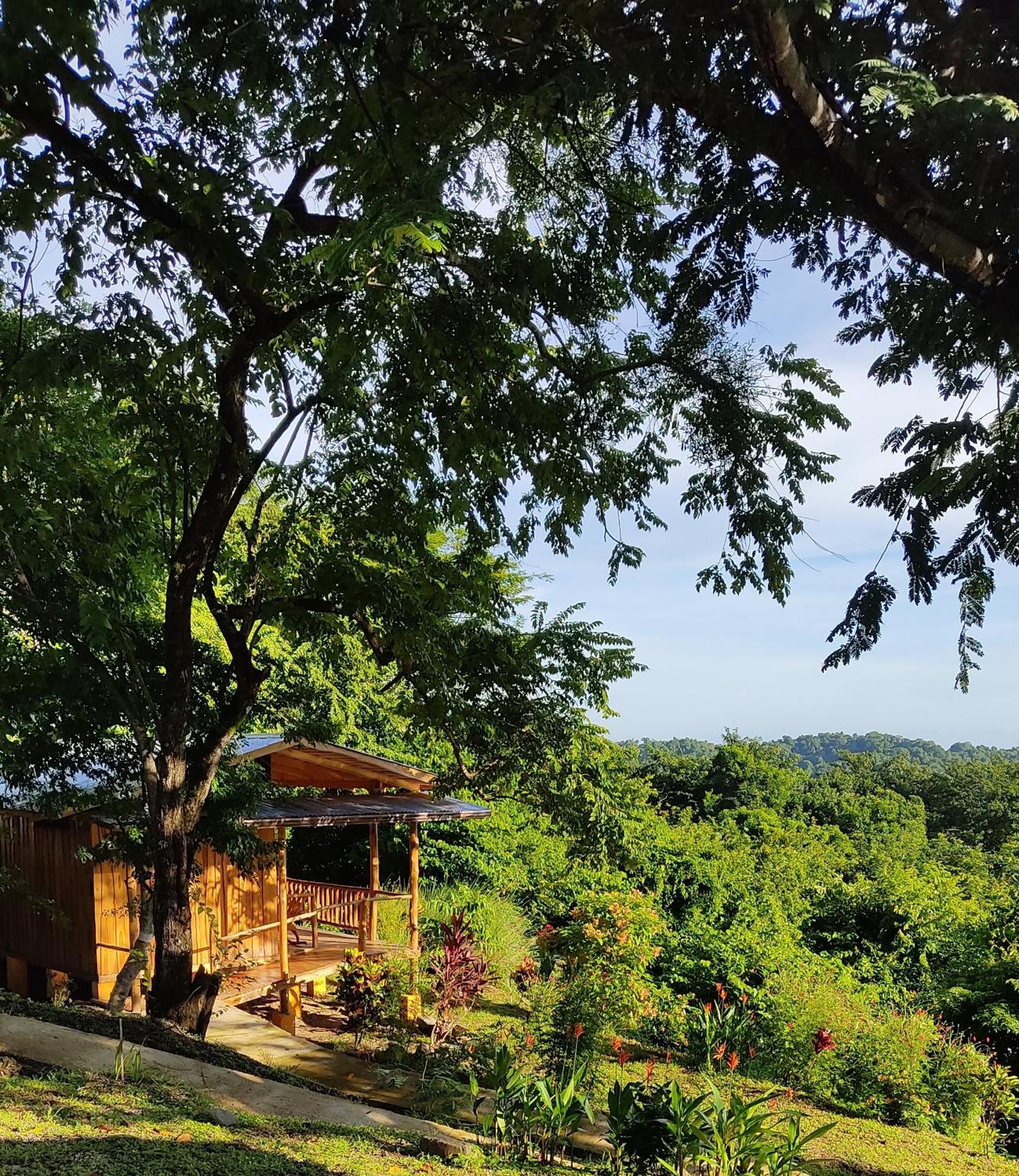 Finca Colibri Ecolodges En Pleine Nature Ferry Playa Najanjo Costa Rica Cabo Blanco Exterior photo
