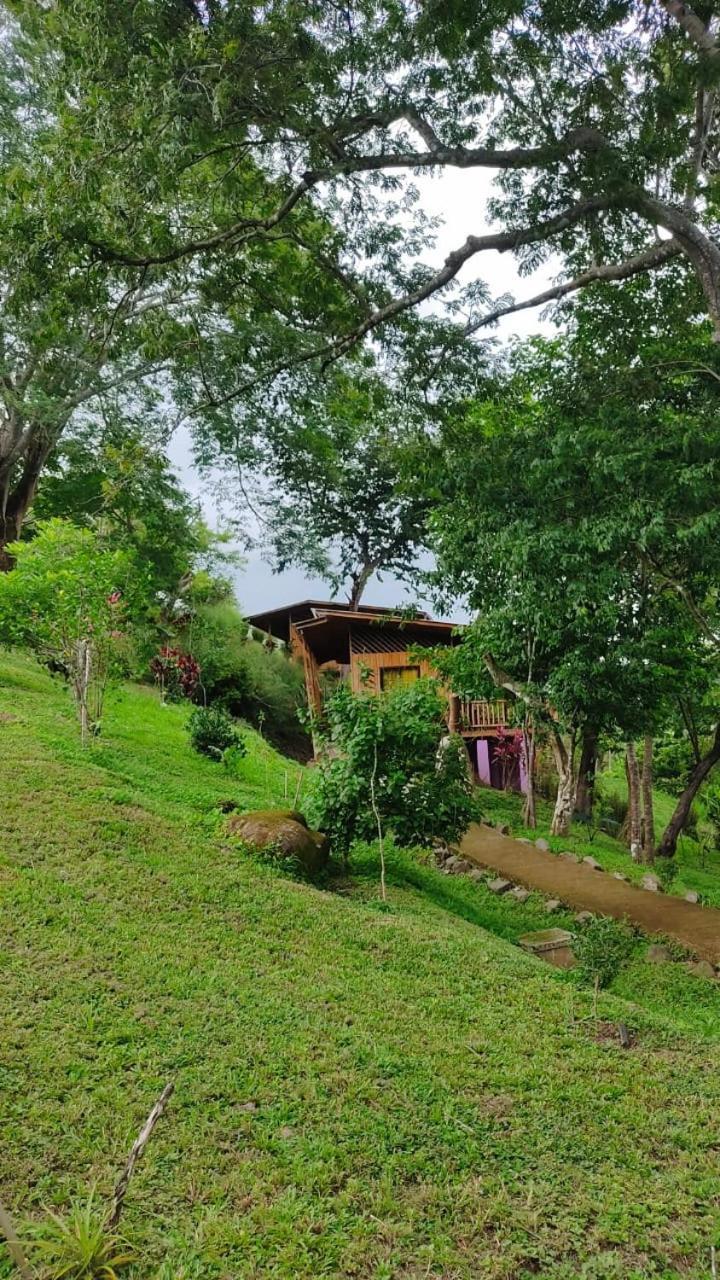 Finca Colibri Ecolodges En Pleine Nature Ferry Playa Najanjo Costa Rica Cabo Blanco Exterior photo