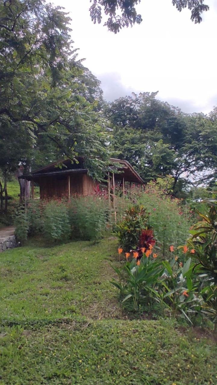 Finca Colibri Ecolodges En Pleine Nature Ferry Playa Najanjo Costa Rica Cabo Blanco Exterior photo